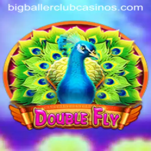 Dive into DoubleFly: The Thrilling World of BIG BALLER CLUB