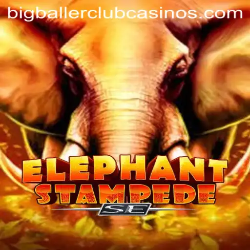 Experience the Excitement of 